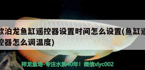 歐泊龍魚缸遙控器設(shè)置時間怎么設(shè)置(魚缸遙控器怎么調(diào)溫度)