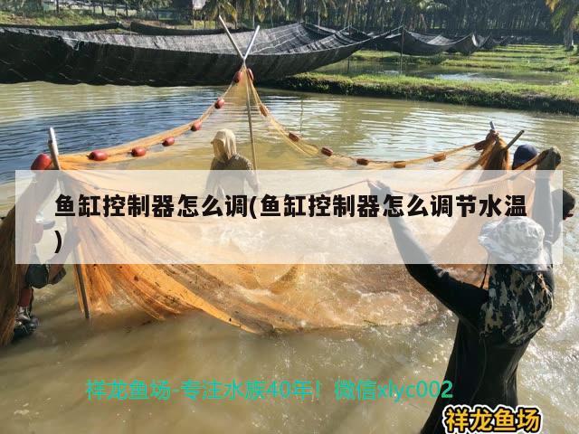 魚缸控制器怎么調(diào)(魚缸控制器怎么調(diào)節(jié)水溫) 泰國虎魚