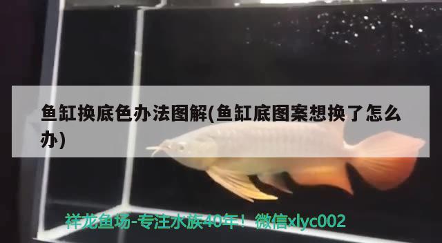 魚缸換底色辦法圖解(魚缸底圖案想換了怎么辦)