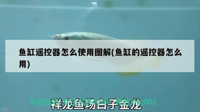 魚缸遙控器怎么使用圖解(魚缸的遙控器怎么用) 黃鰭鯧魚