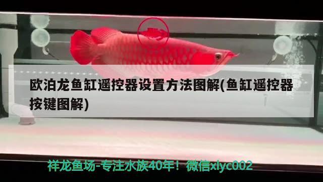 歐泊龍魚缸遙控器設(shè)置方法圖解(魚缸遙控器按鍵圖解)