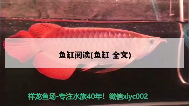 魚缸閱讀(魚缸全文)