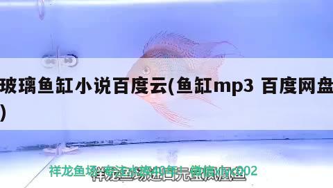 玻璃魚缸小說百度云(魚缸mp3百度網(wǎng)盤) 細(xì)線銀版魚