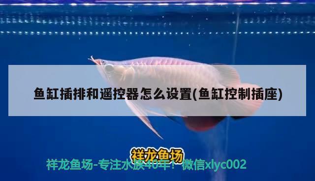 魚缸插排和遙控器怎么設(shè)置(魚缸控制插座)