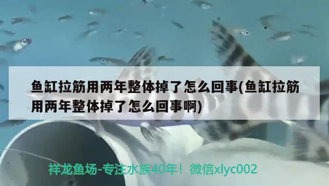 魚缸拉筋用兩年整體掉了怎么回事(魚缸拉筋用兩年整體掉了怎么回事啊) 雪龍魚