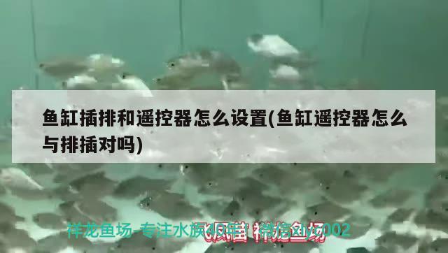 魚(yú)缸插排和遙控器怎么設(shè)置(魚(yú)缸遙控器怎么與排插對(duì)嗎) 白子黑帝王魟魚(yú)