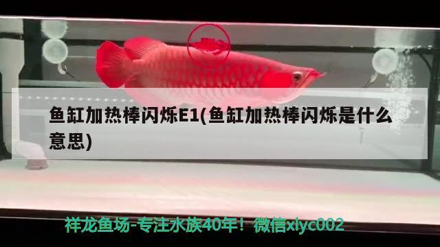 魚缸加熱棒閃爍E1(魚缸加熱棒閃爍是什么意思) 申古三間魚