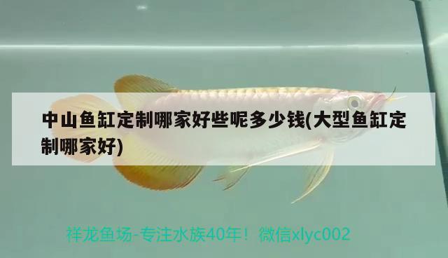 中山魚缸定制哪家好些呢多少錢(大型魚缸定制哪家好) 觀賞龜/鱉飼料