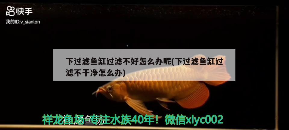 下過濾魚缸過濾不好怎么辦呢(下過濾魚缸過濾不干凈怎么辦)