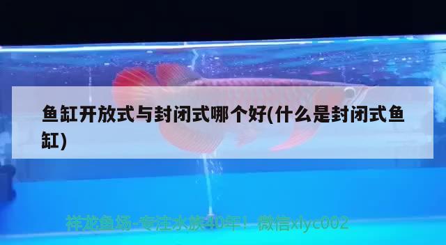 魚缸開放式與封閉式哪個好(什么是封閉式魚缸) 麥肯斯銀版魚