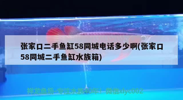 張家口二手魚缸58同城電話多少啊(張家口58同城二手魚缸水族箱) 魚缸/水族箱