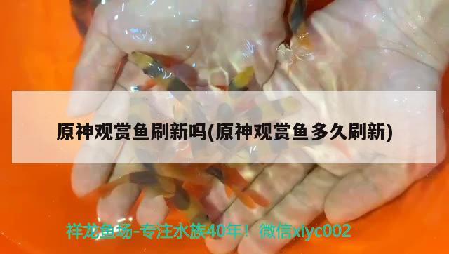 原神觀賞魚刷新嗎(原神觀賞魚多久刷新) 三間鼠魚