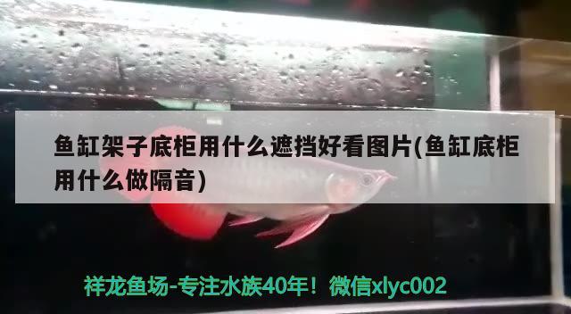 魚缸架子底柜用什么遮擋好看圖片(魚缸底柜用什么做隔音)