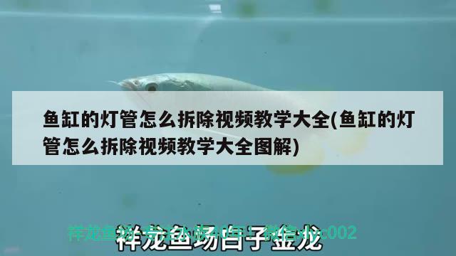 魚缸的燈管怎么拆除視頻教學(xué)大全(魚缸的燈管怎么拆除視頻教學(xué)大全圖解)