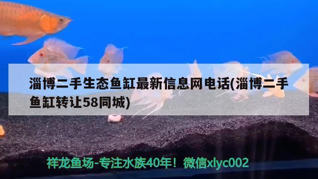 淄博二手生態(tài)魚缸最新信息網(wǎng)電話(淄博二手魚缸轉(zhuǎn)讓58同城)