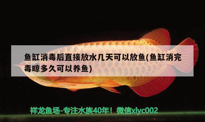 魚缸消毒后直接放水幾天可以放魚(魚缸消完毒晾多久可以養(yǎng)魚)