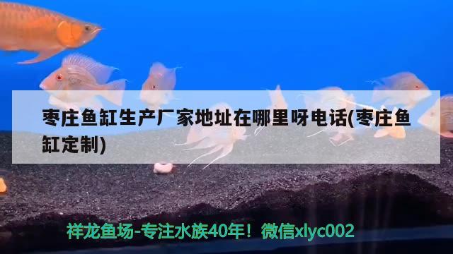 棗莊魚(yú)缸生產(chǎn)廠家地址在哪里呀電話(棗莊魚(yú)缸定制)