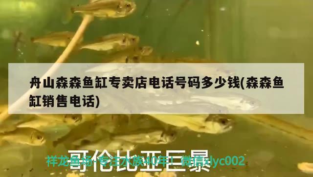 舟山森森魚(yú)缸專賣(mài)店電話號(hào)碼多少錢(qián)(森森魚(yú)缸銷售電話)