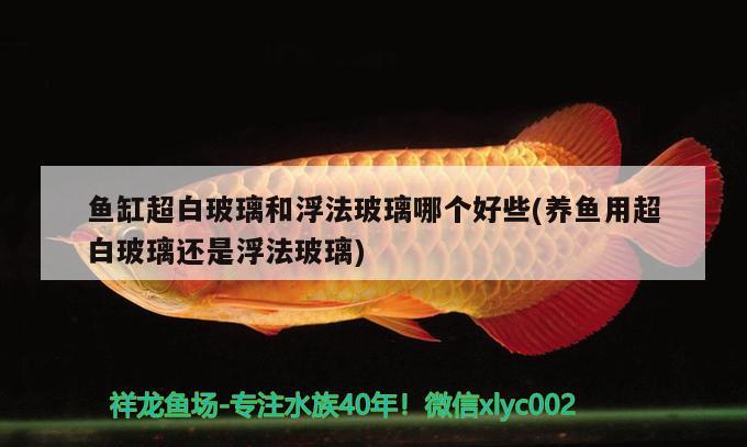 魚缸超白玻璃和浮法玻璃哪個好些(養(yǎng)魚用超白玻璃還是浮法玻璃)