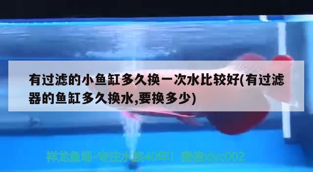 有過濾的小魚缸多久換一次水比較好(有過濾器的魚缸多久換水,要換多少)