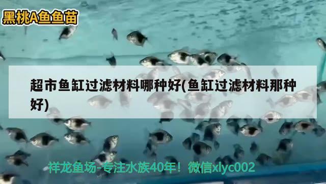 超市魚(yú)缸過(guò)濾材料哪種好(魚(yú)缸過(guò)濾材料那種好) 三間鼠魚(yú)