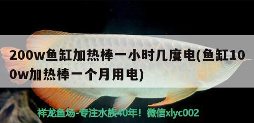 200w魚缸加熱棒一小時(shí)幾度電(魚缸100w加熱棒一個(gè)月用電) 慈雕魚