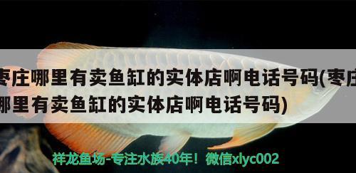 棗莊哪里有賣魚缸的實體店啊電話號碼(棗莊哪里有賣魚缸的實體店啊電話號碼)