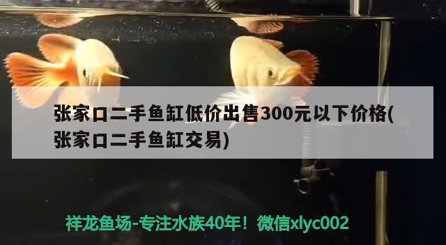 張家口二手魚缸低價(jià)出售300元以下價(jià)格(張家口二手魚缸交易) 養(yǎng)魚知識(shí)