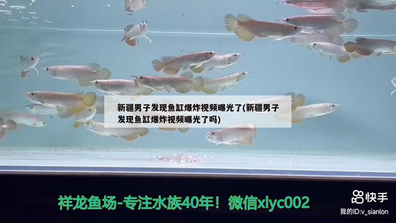 新疆男子發(fā)現(xiàn)魚缸爆炸視頻曝光了(新疆男子發(fā)現(xiàn)魚缸爆炸視頻曝光了嗎)