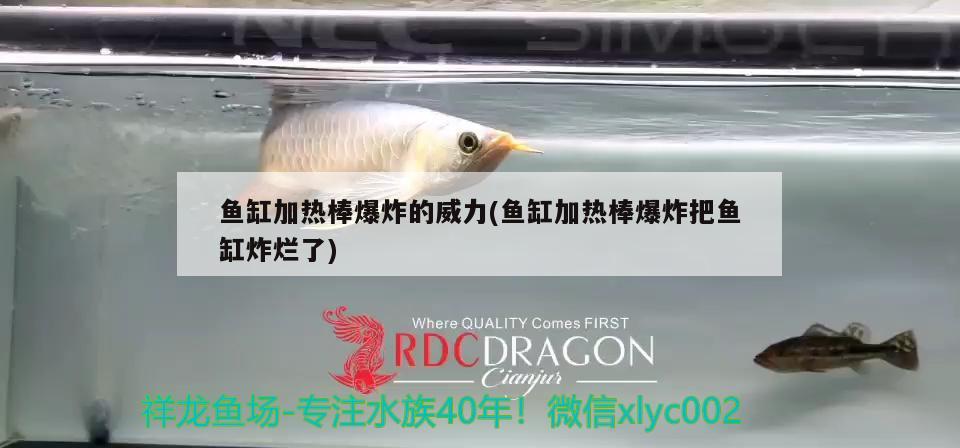 魚缸加熱棒爆炸的威力(魚缸加熱棒爆炸把魚缸炸爛了)