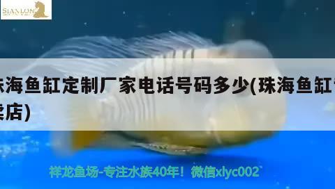 珠海魚缸定制廠家電話號碼多少(珠海魚缸專賣店) 黃金眼鏡蛇雷龍魚