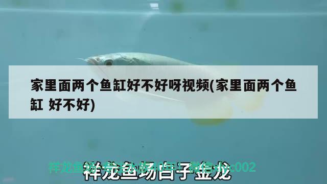 家里面兩個(gè)魚(yú)缸好不好呀視頻(家里面兩個(gè)魚(yú)缸好不好)