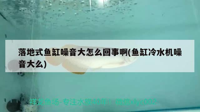 落地式魚缸噪音大怎么回事啊(魚缸冷水機(jī)噪音大么) 水族用品