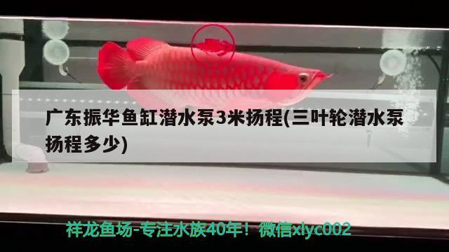 廣東振華魚(yú)缸潛水泵3米揚(yáng)程(三葉輪潛水泵揚(yáng)程多少)