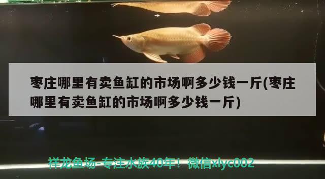 棗莊哪里有賣魚缸的市場啊多少錢一斤(棗莊哪里有賣魚缸的市場啊多少錢一斤) 紅頭利魚