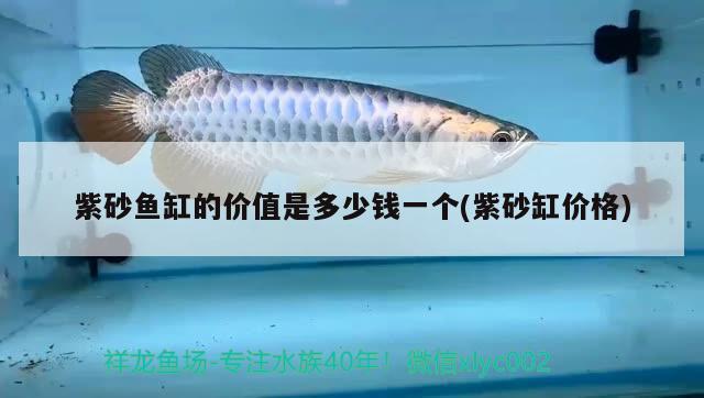 紫砂魚缸的價值是多少錢一個(紫砂缸價格) 喂食器