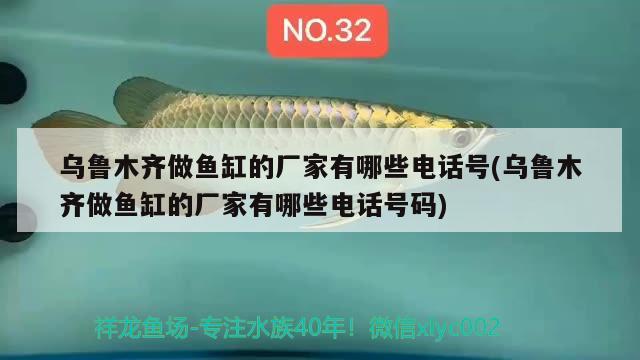 烏魯木齊做魚缸的廠家有哪些電話號(烏魯木齊做魚缸的廠家有哪些電話號碼) 豹紋夫魚苗