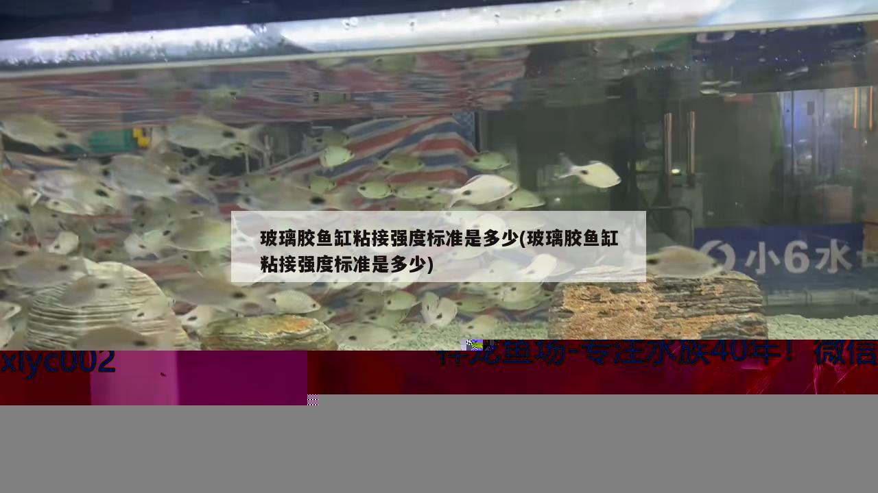 周口二手魚缸轉(zhuǎn)讓信息網(wǎng)最新(咸陽二手魚缸轉(zhuǎn)讓)