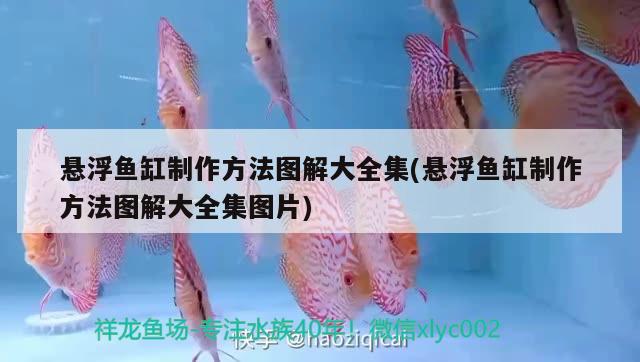 懸浮魚(yú)缸制作方法圖解大全集(懸浮魚(yú)缸制作方法圖解大全集圖片)