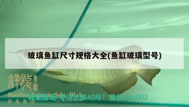 玻璃魚缸尺寸規(guī)格大全(魚缸玻璃型號)