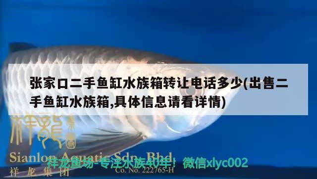 張家口二手魚缸水族箱轉(zhuǎn)讓電話多少(出售二手魚缸水族箱,具體信息請看詳情) 魚缸/水族箱