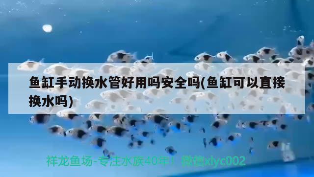 魚缸手動換水管好用嗎安全嗎(魚缸可以直接換水嗎) 其他益生菌