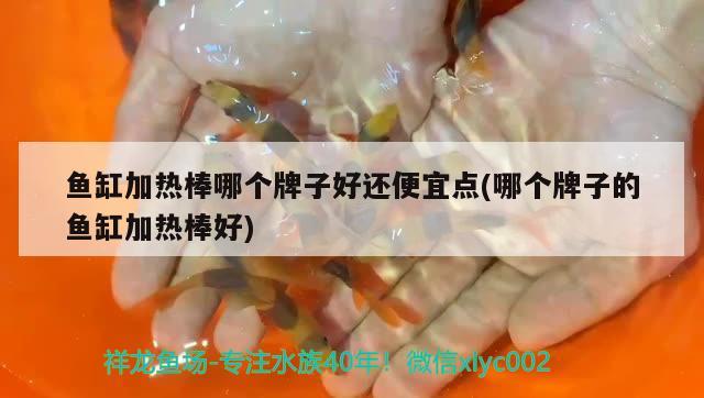 魚缸加熱棒哪個牌子好還便宜點(哪個牌子的魚缸加熱棒好)