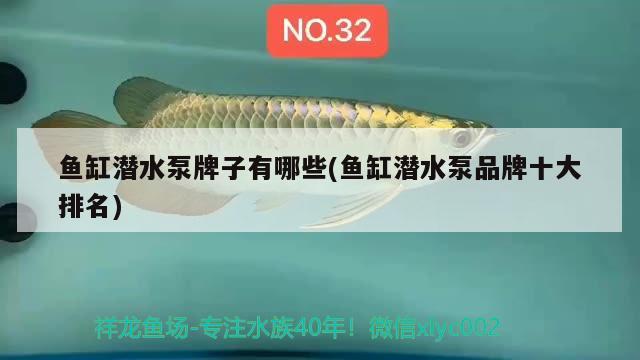 魚(yú)缸潛水泵牌子有哪些(魚(yú)缸潛水泵品牌十大排名) 雪龍魚(yú)