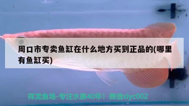 周口市專(zhuān)賣(mài)魚(yú)缸在什么地方買(mǎi)到正品的(哪里有魚(yú)缸買(mǎi)) 巴西亞魚(yú)