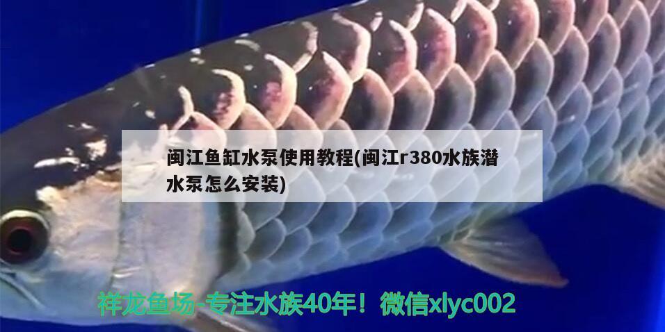 閩江魚缸水泵使用教程(閩江r380水族潛水泵怎么安裝)