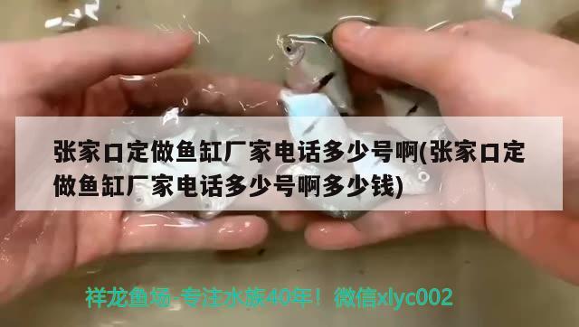 張家口定做魚缸廠家電話多少號啊(張家口定做魚缸廠家電話多少號啊多少錢)