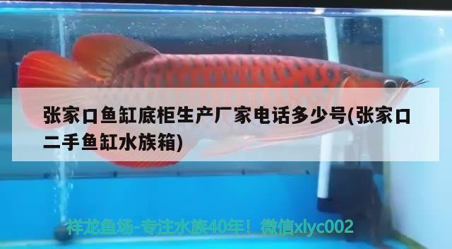 張家口魚缸底柜生產(chǎn)廠家電話多少號(張家口二手魚缸水族箱) 魚缸/水族箱