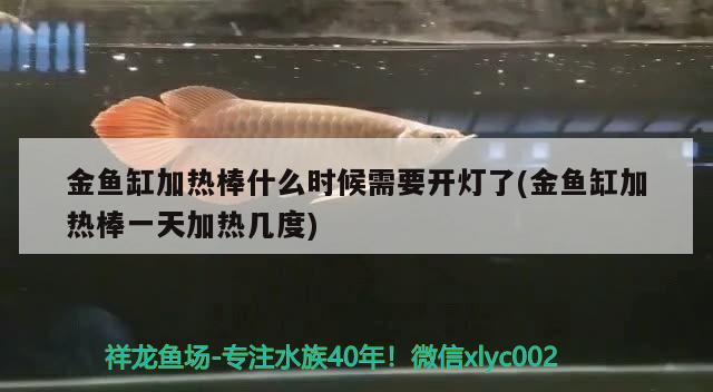 金魚缸加熱棒什么時候需要開燈了(金魚缸加熱棒一天加熱幾度)