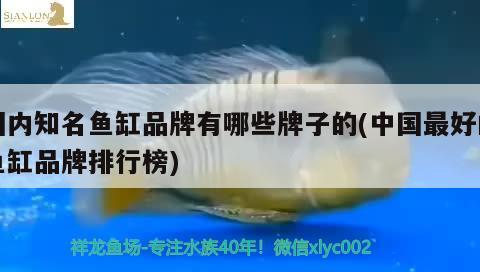 國內(nèi)知名魚缸品牌有哪些牌子的(中國最好的魚缸品牌排行榜)